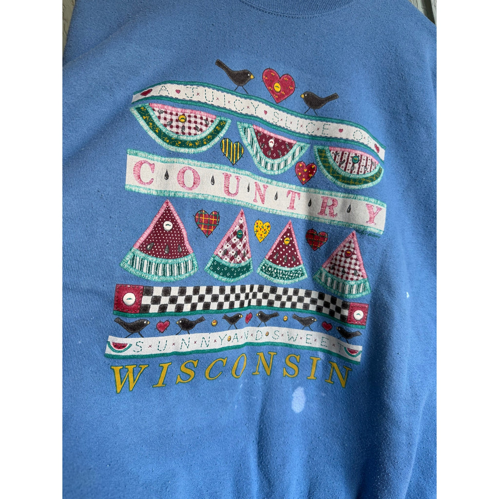 Vintage Wisconsin Country Sweatshirt Hanes XL Blue 90s Folk Art Birds Hearts