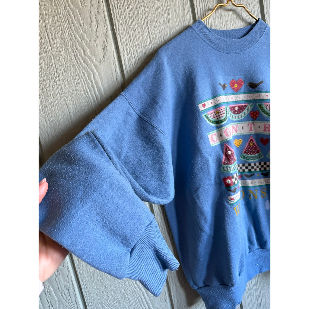 Vintage Wisconsin Country Sweatshirt Hanes XL Blue 90s Folk Art Birds Hearts