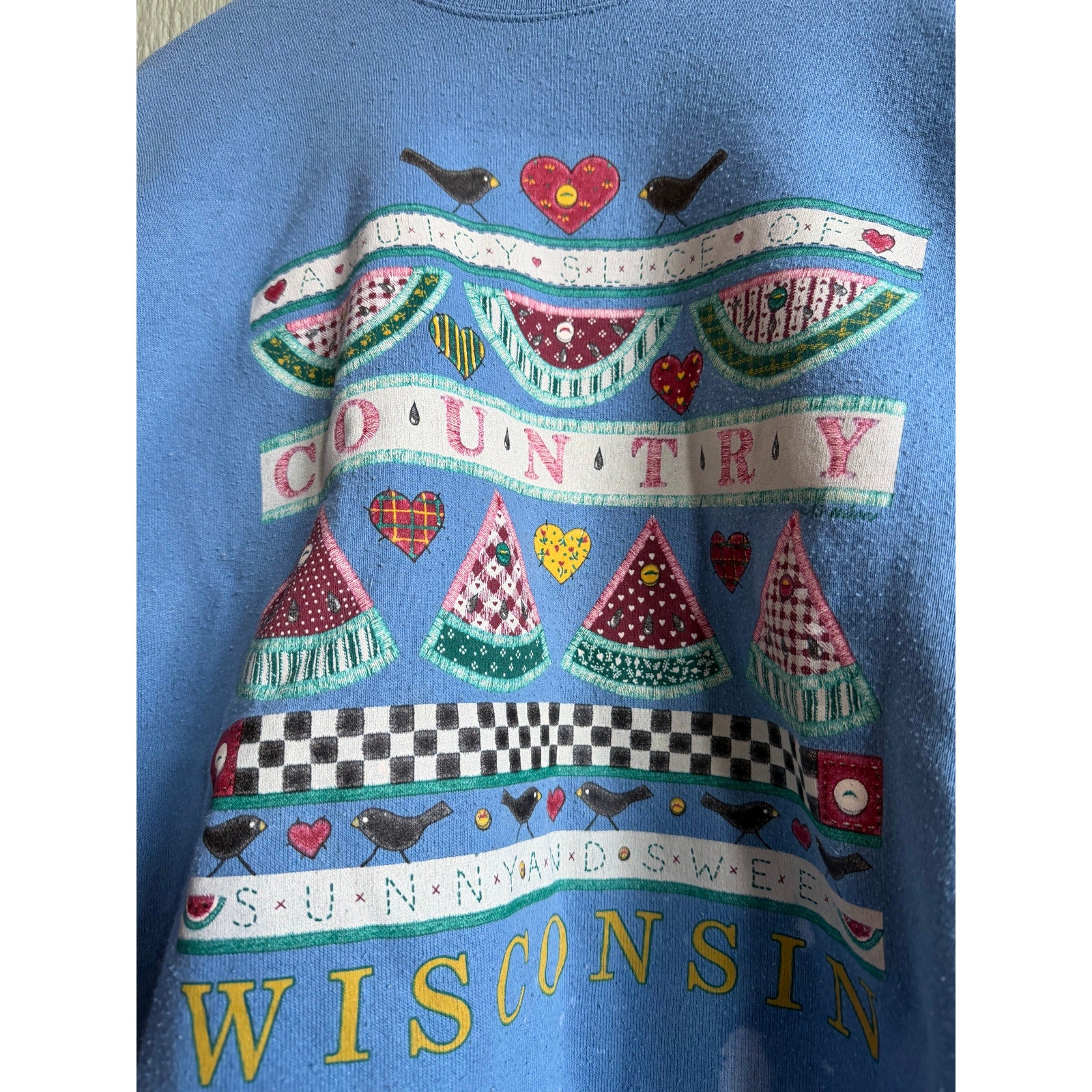 Vintage Wisconsin Country Sweatshirt Hanes XL Blue 90s Folk Art Birds Hearts